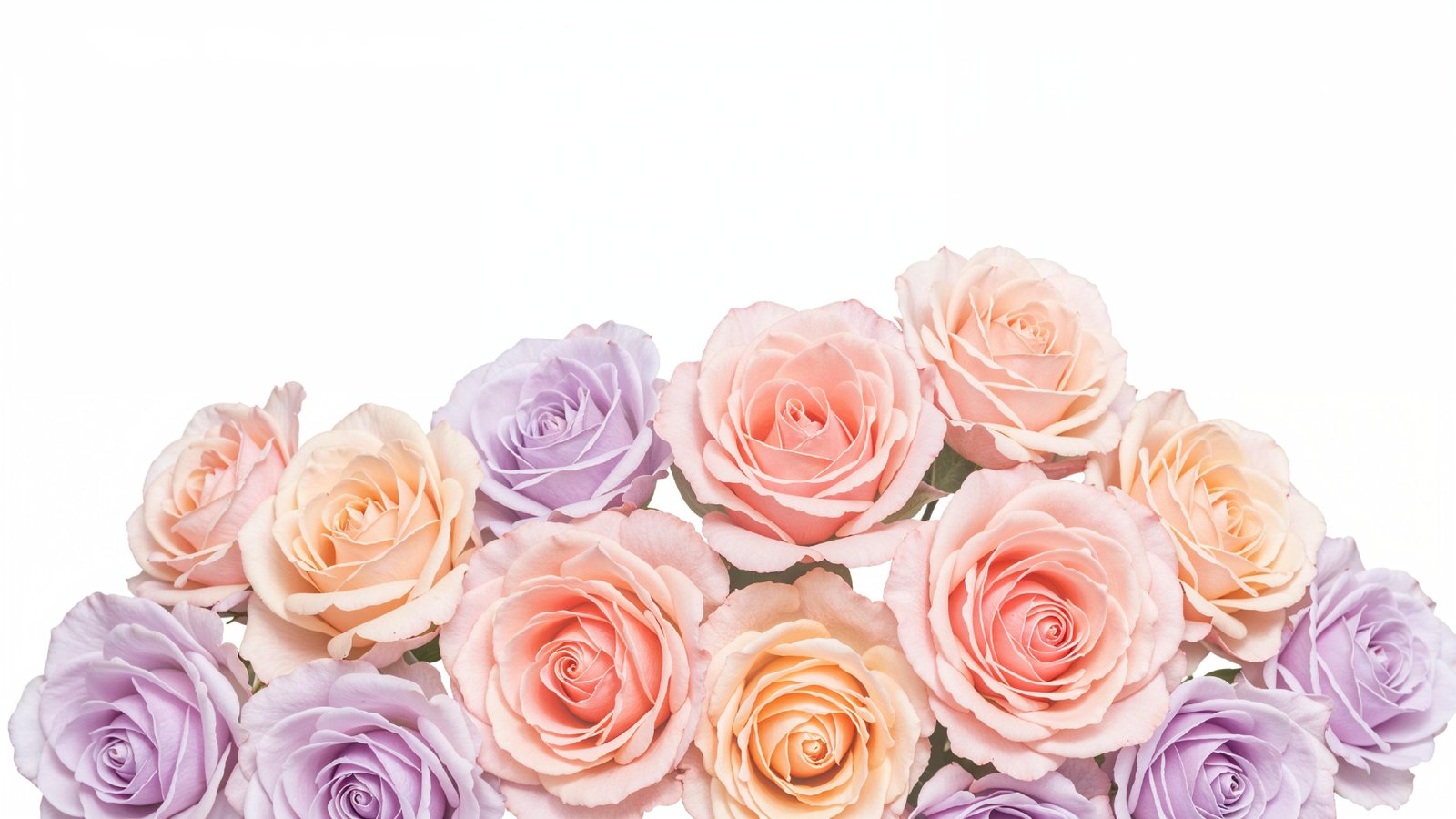 Dreamy Watercolor Pastel Rose Bouquet Illustration