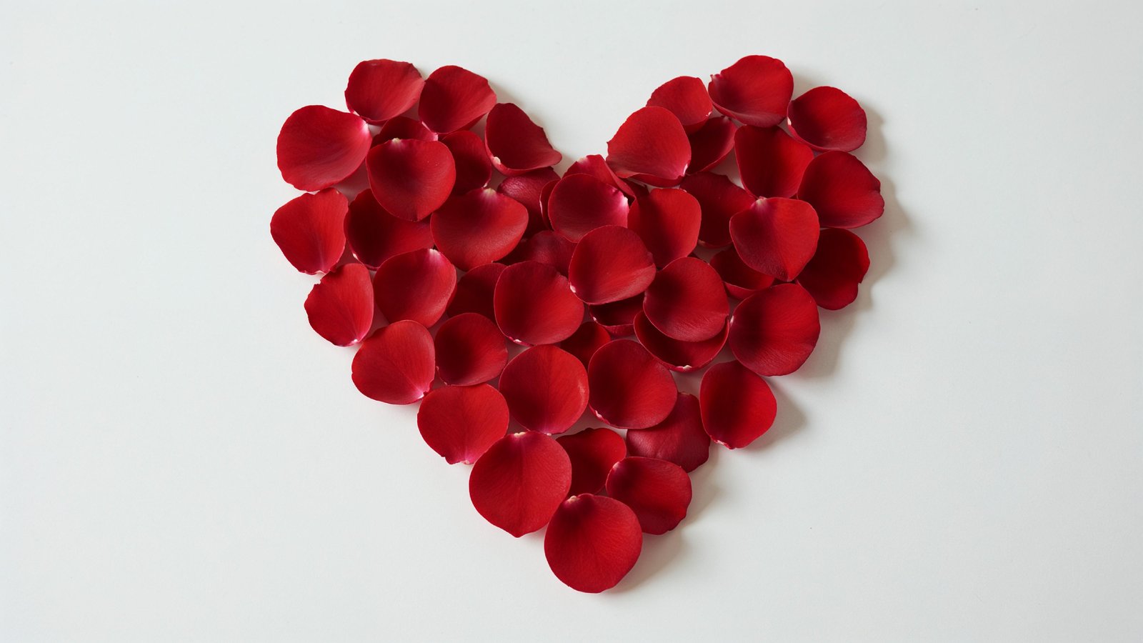 Heart Shape Made of Red Rose Petals on White Background