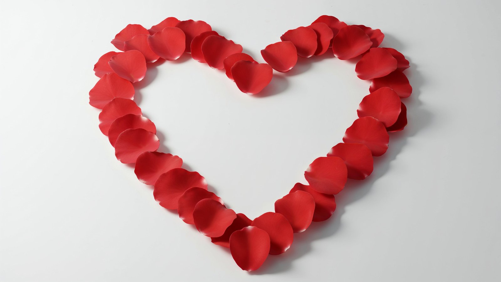 Heart Shape Made of Red Rose Petals on White Background